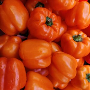 Poivron Orange