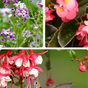 Jardin romantique