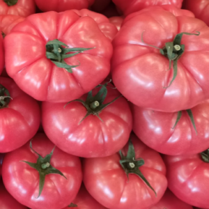 Tomate Brandywine